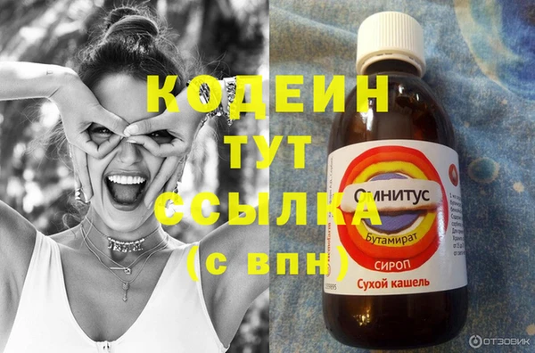 дурь Корсаков