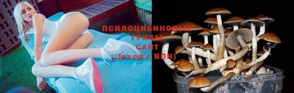 дурь Корсаков