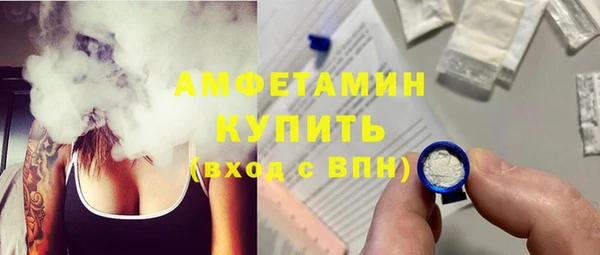 индика Киреевск