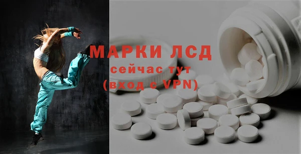 прущие грибы Краснослободск