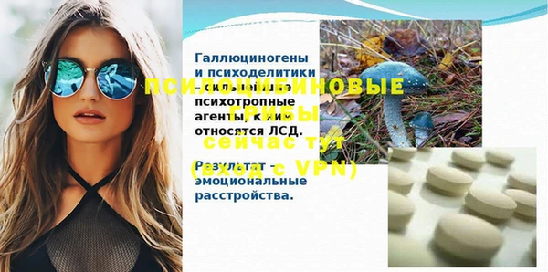 ECSTASY Козельск