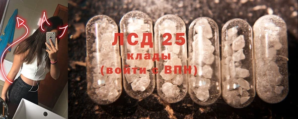 индика Киреевск
